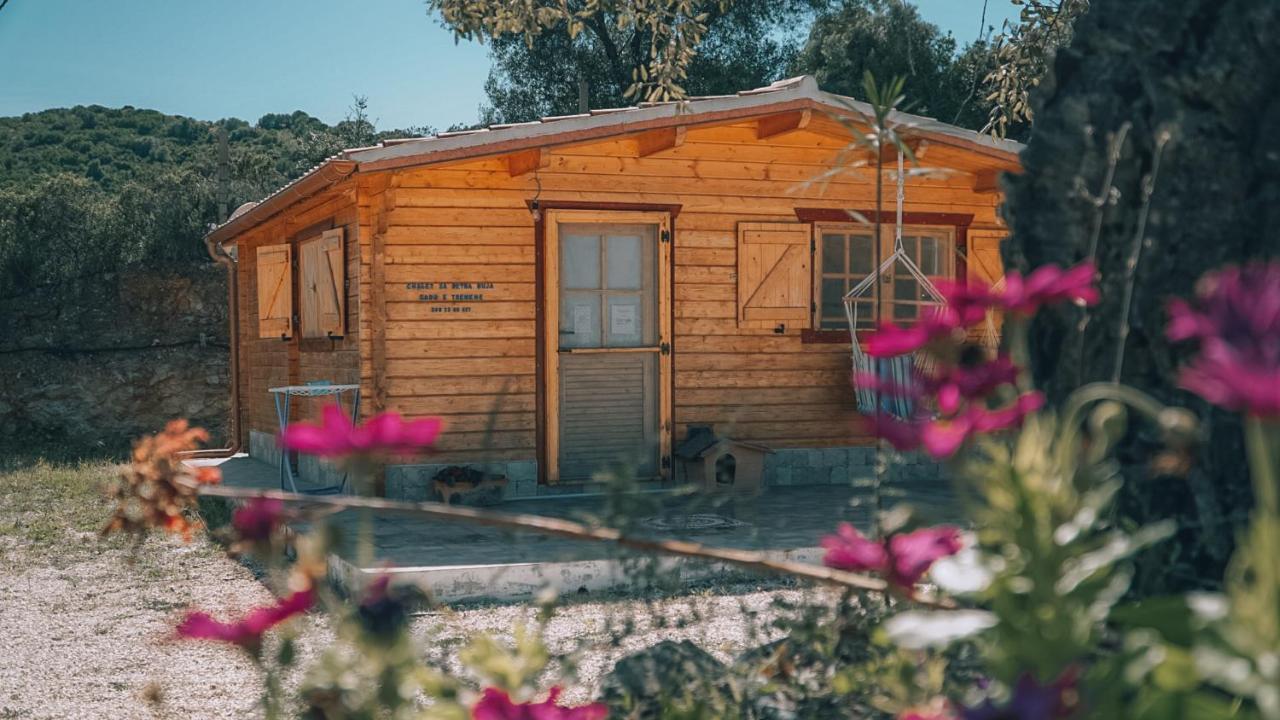 Chalet Sa Petra Ruja - Gadu E Tremene シニスコーラ エクステリア 写真